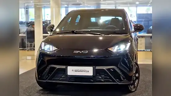 Foto de um byd dolphin mini