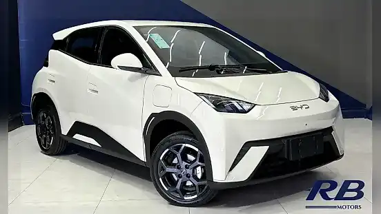 Foto de um byd dolphin mini