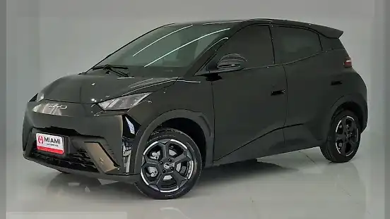 Foto de um byd dolphin