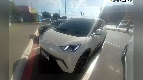 Foto de um byd dolphin mini