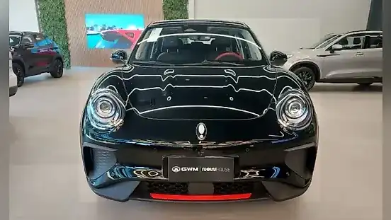Foto de um gwm ora 03
