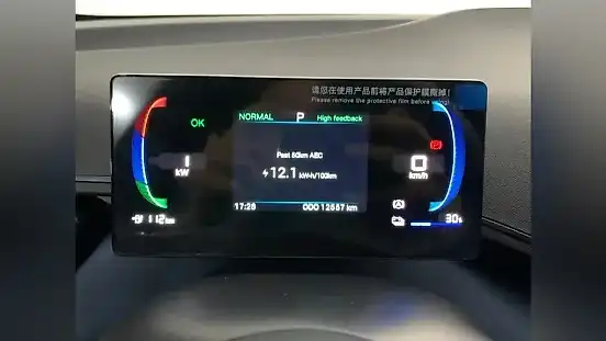 Foto de um byd dolphin mini