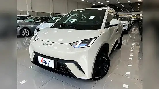 Foto de um byd dolphin mini