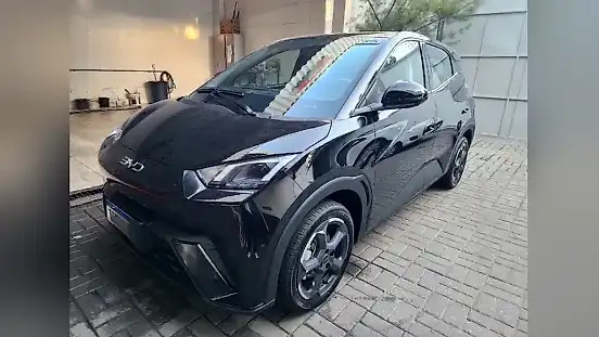 Foto de um byd dolphin mini
