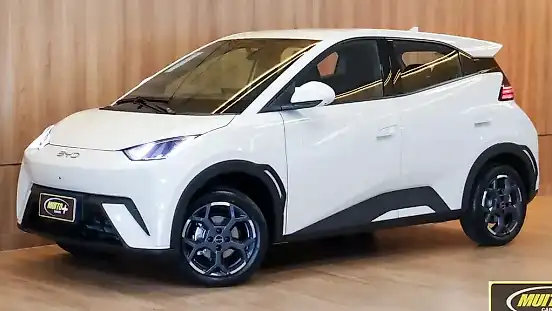 Foto de um byd dolphin mini