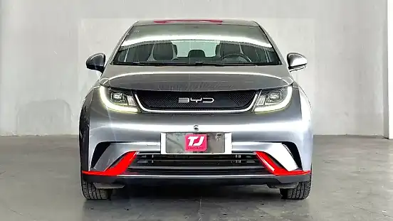 Foto de um byd dolphin