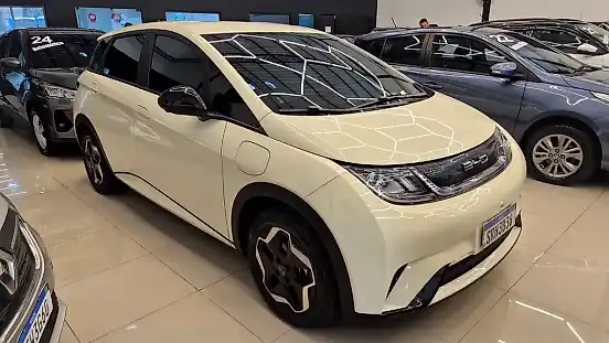 Foto de um byd dolphin