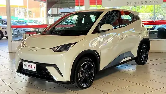 Foto de um byd dolphin mini