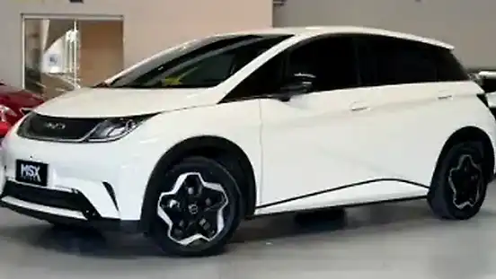 Foto de um byd dolphin