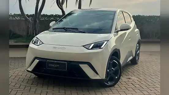 Foto de um byd dolphin mini