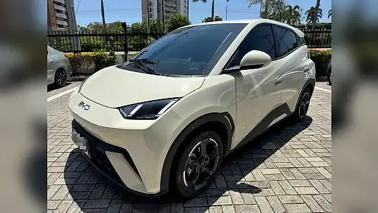 Foto de um byd dolphin