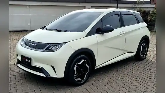 Foto de um byd dolphin