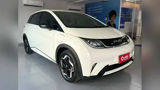 Foto de um byd dolphin