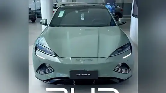 Foto de um byd seal