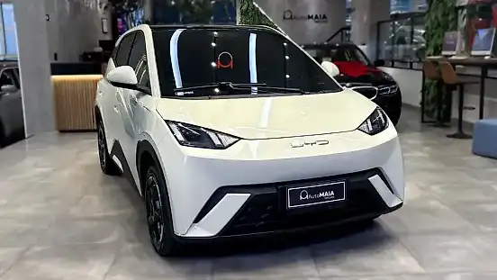 Foto de um byd dolphin