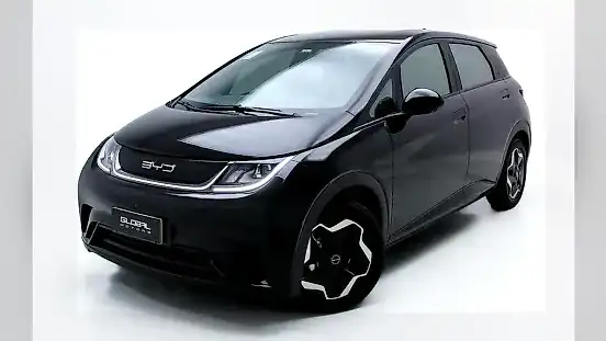 Foto de um byd dolphin
