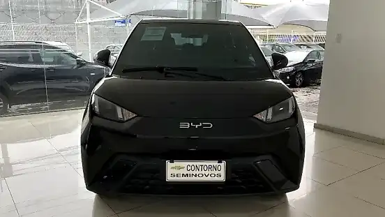 Foto de um byd dolphin mini