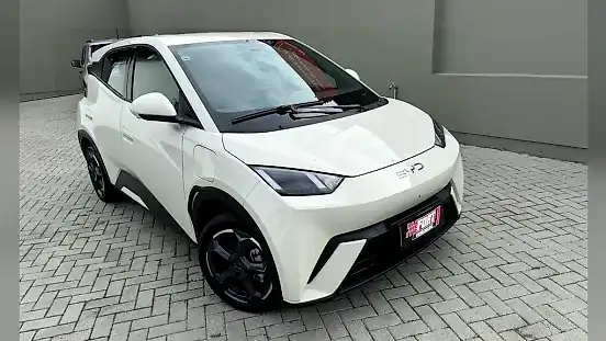 Foto de um byd dolphin mini