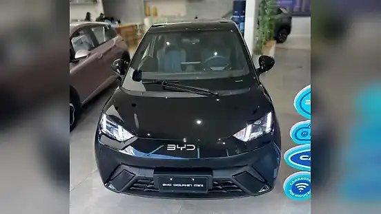 Foto de um byd dolphin mini