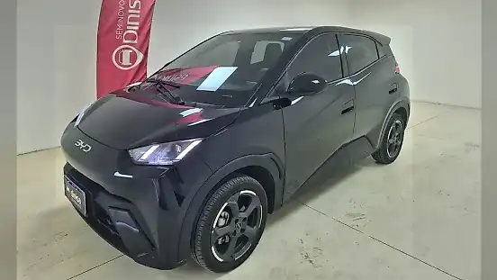 Foto de um byd dolphin mini