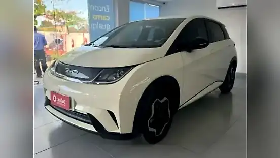Foto de um byd dolphin