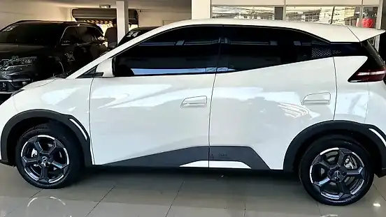Foto de um byd dolphin mini