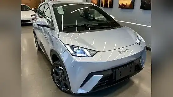 Foto de um byd dolphin mini