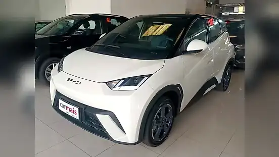 Foto de um byd dolphin mini