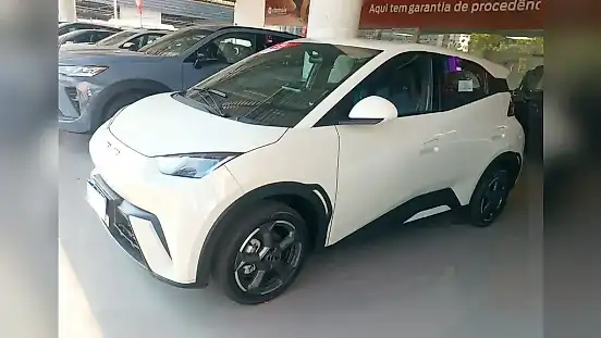 Foto de um byd dolphin mini
