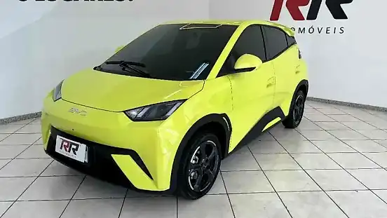 Foto de um byd dolphin