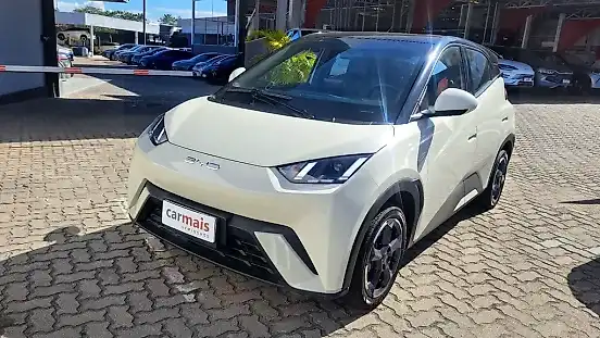 Foto de um byd dolphin mini
