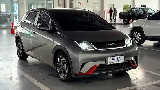 Foto de um byd dolphin