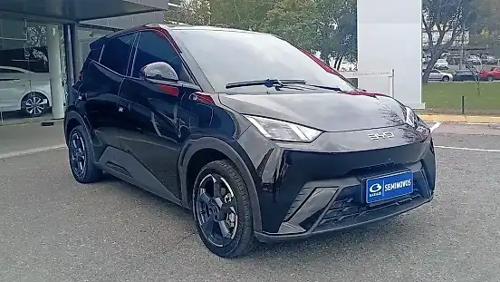 Foto de um byd dolphin mini