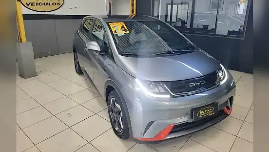 Foto de um byd dolphin