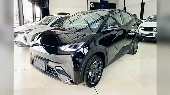 Foto de um byd dolphin mini