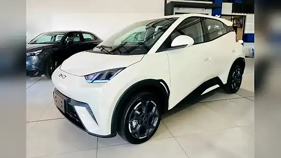 Foto de um byd dolphin