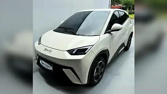 Foto de um byd dolphin mini