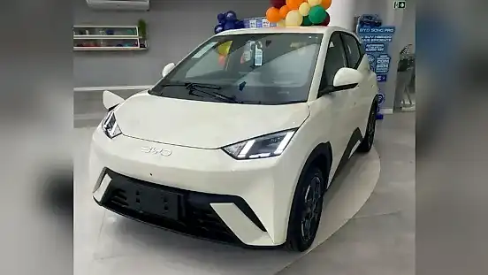 Foto de um byd dolphin mini
