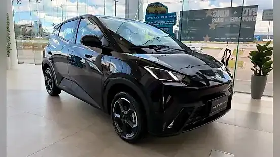 Foto de um byd dolphin mini