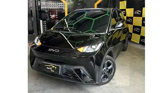 Foto de um byd dolphin
