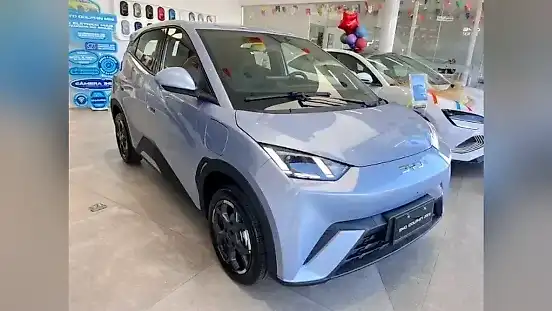 Foto de um byd dolphin mini