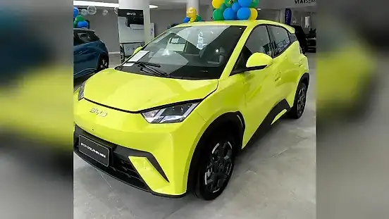 Foto de um byd dolphin mini