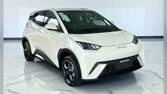 Foto de um byd dolphin mini