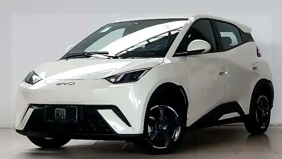 Foto de um byd dolphin mini