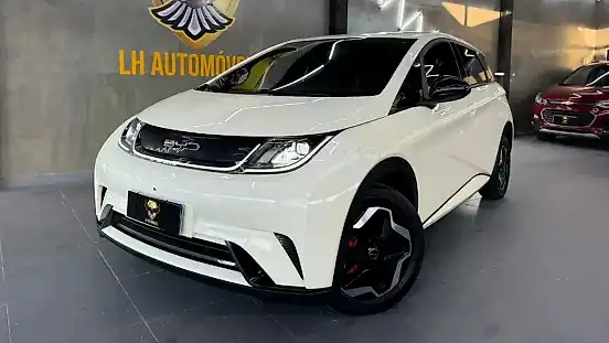 Foto de um byd dolphin