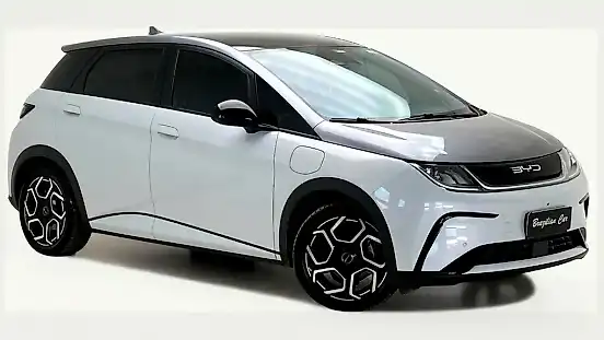 Foto de um byd dolphin plus