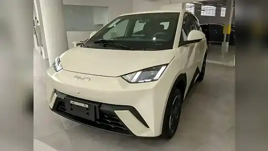 Foto de um byd dolphin mini
