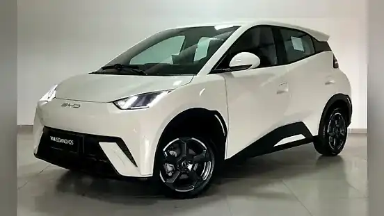 Foto de um byd dolphin mini