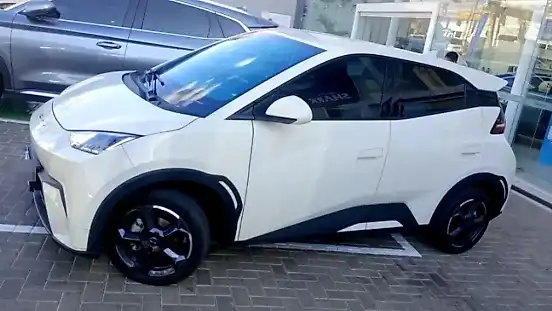 Foto de um byd dolphin mini