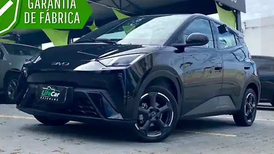 Foto de um byd dolphin